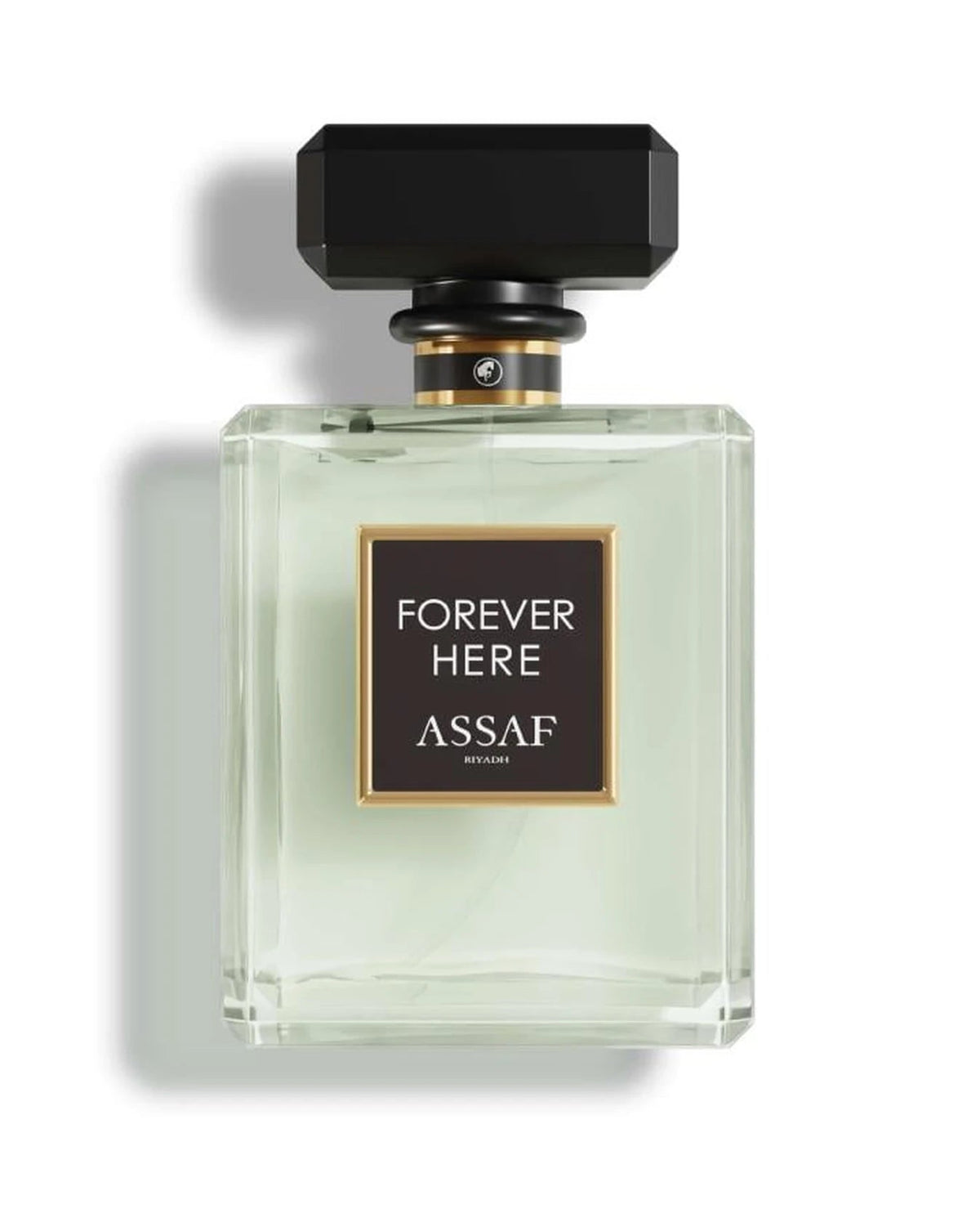 Assaf Forever Here (50ml) - FragranceGems
