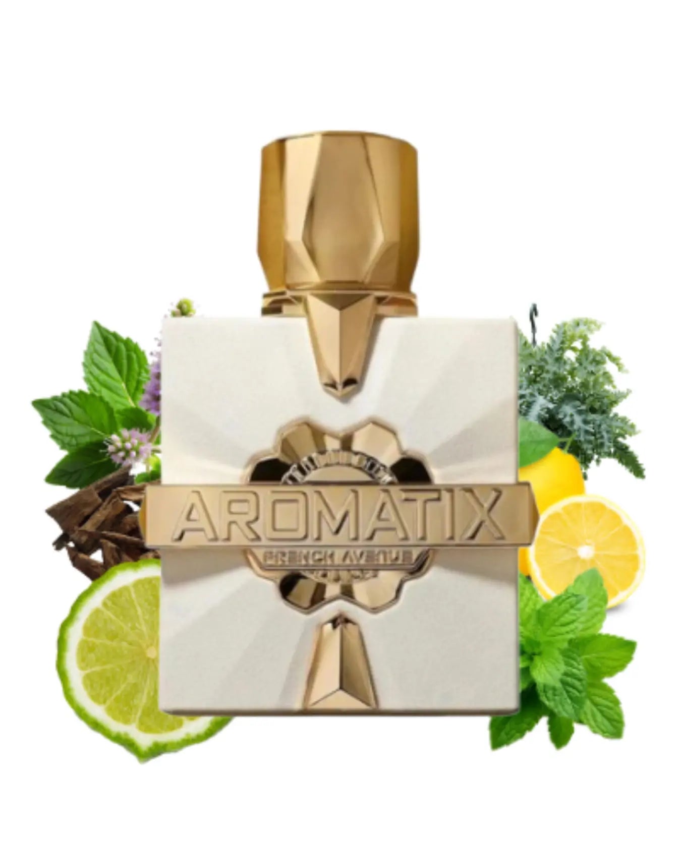 French Avenue x Aromatix Platine Blanc (100ml) FragranceGems