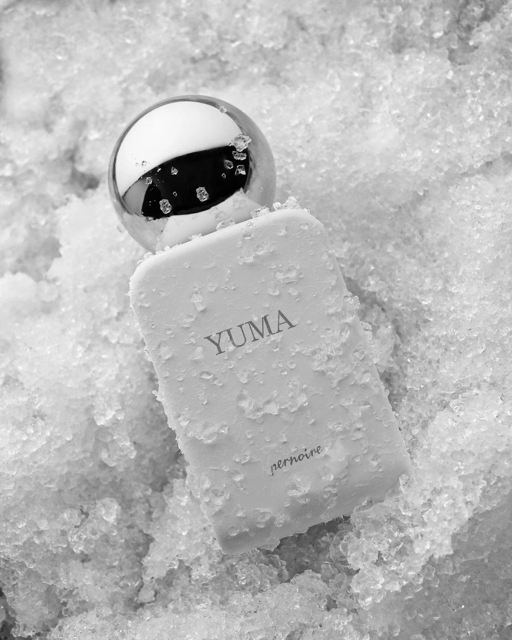 Pernoire Yuma Extrait de Parfum (50ml) - FragranceGems