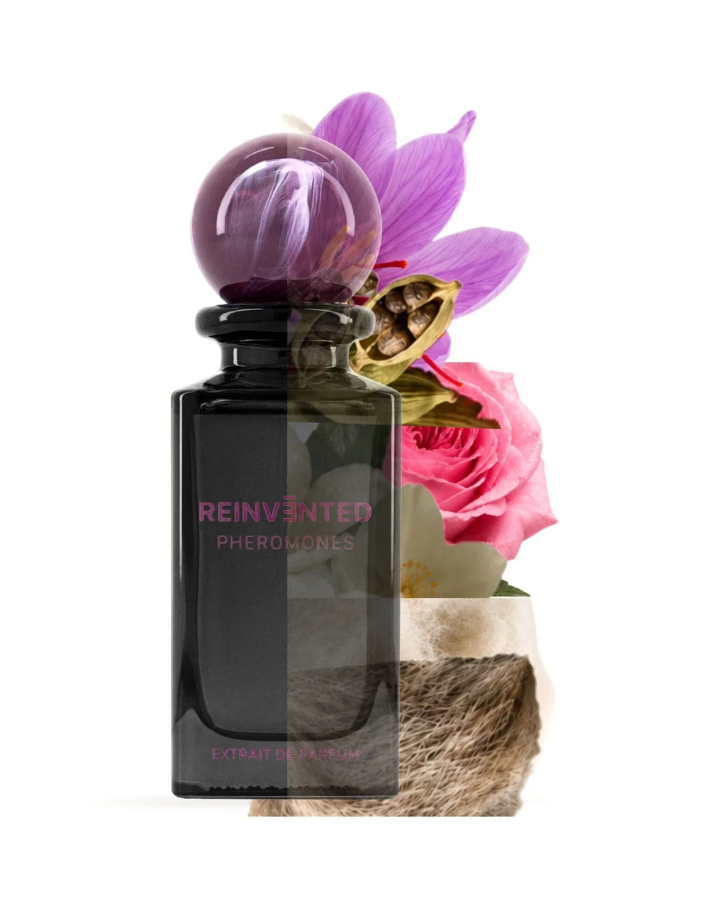 Reinvented Pheromones Extrait de Parfum (75ml) - FragranceGems